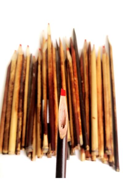 Sanathobi Kamış Kalem Naturel- Orta Boy 18-24cm (1 Adet)