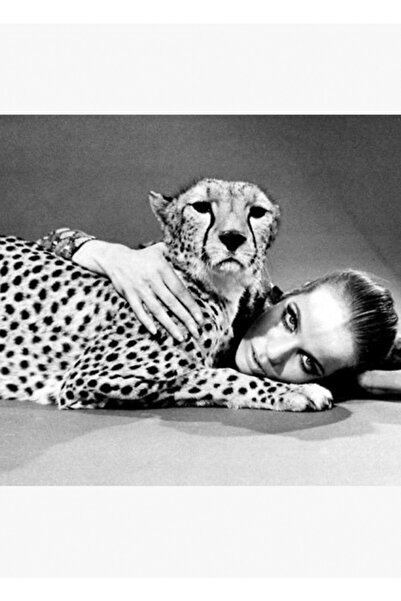 Universal Верушка: Картина  "Гепард II " Дървен декоративен плакат