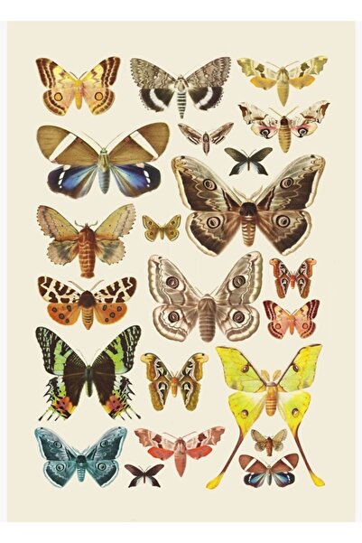 Universal Poster decorativ din lemn de colecție