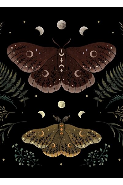 Universal Poster decorativ din lemn Saturnia Pavonia