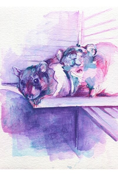 Universal The100ratproject 004 Poster decorativ din lemn