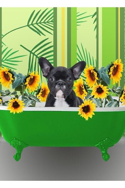 Universal Εικονογραφική ξύλινη αφίσα με διακοσμητικό γαλλικό μπουλντόγκ στο μ...