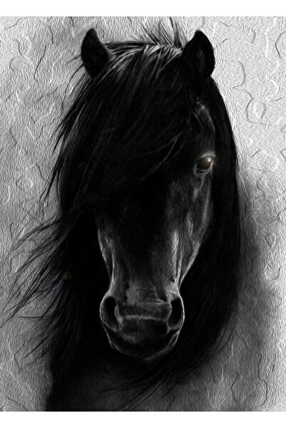 Universal Yabani At Tablo Ahşap Poster Dekoratif