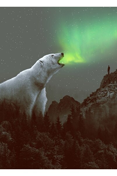 Universal Poster decorativ din lemn Aurora II