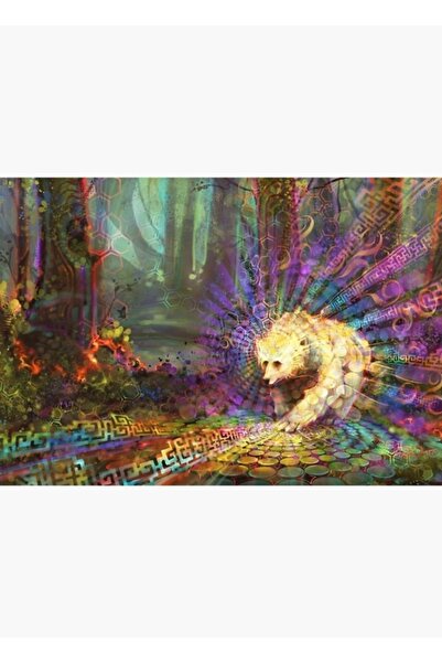 Universal Διακοσμητική Ξύλινη Αφίσα Ζωγραφικής Spirit Bear