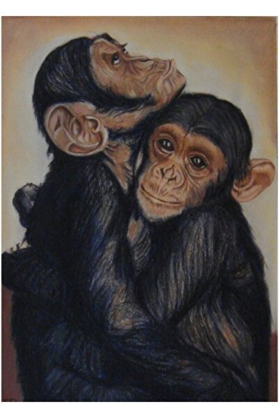 Universal Există împachetări! Poster decorativ din lemn cu pictură cu cimpanzeu