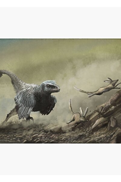 Universal Poster decorativ din lemn cu Velociraptor și Zalambdalestes