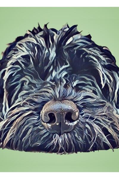 Universal Cockapoo Pop Art - Poster decorativ din lemn, pictat în verde