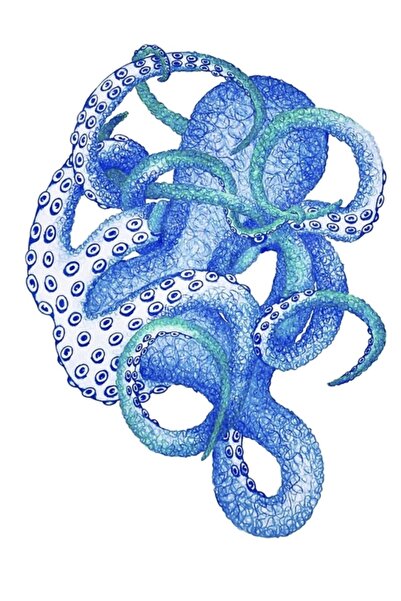 Universal Διακοσμητική Ξύλινη Αφίσα Ζωγραφικής με Μπλε Χταπόδι