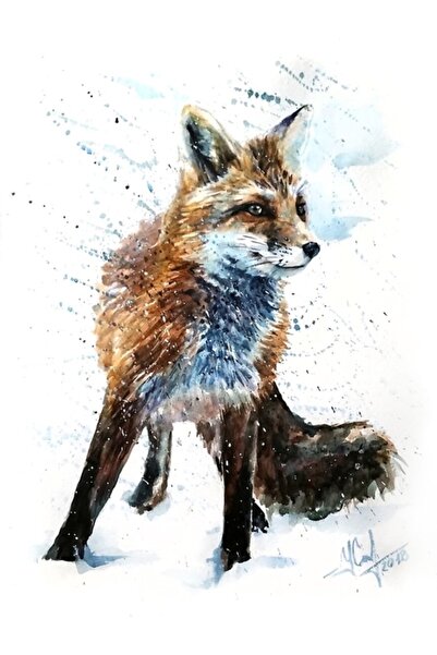 Universal Αλεπούδα, Ζώα, Ακουαρέλα, Άγρια φύση, Εικονογράφηση, Άγρια ζωή, Ξύλ...