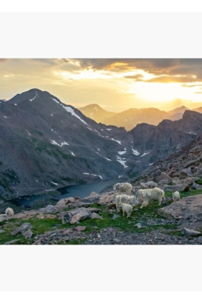 Universal Peisaj de seară în munți Tablou Poster din lemn decorativ