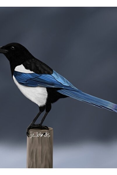 Universal Декоративен дървен плакат с илюстрация на сврака