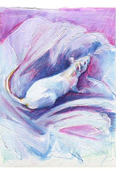 Universal The100ratproject 012 Poster decorativ din lemn