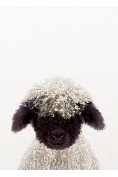 Universal Αρνάκι, Ζωάκια, Καλλιτεχνική Εκτύπωση Synplus, Ξύλινη Διακοσμητική ...