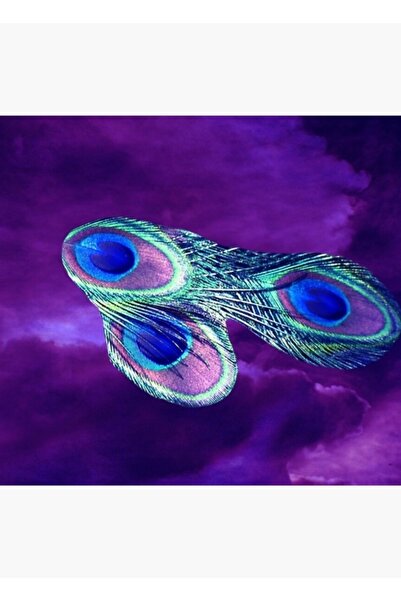 Universal Poster decorativ din lemn cu pene de păun și pictură cu cer violet