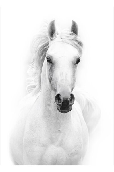 Universal Ζωγραφική με ξύλινη αφίσα Λευκό Άλογο, Διακοσμητική