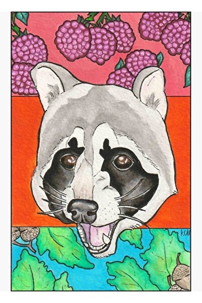 Universal Ρακούν (οικογένεια Προκυονοειδών) Ξύλινη Διακοσμητική Αφίσα Πίνακα