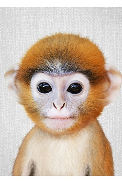 Universal Bebek Maymun - Renkli Tablo Ahşap Poster Dekoratif
