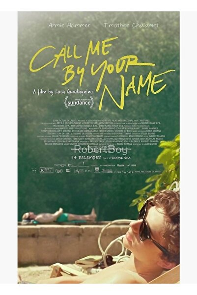 Universal Apelați-mă prin numele meu Poster de film Tablou Poster din lemn De...