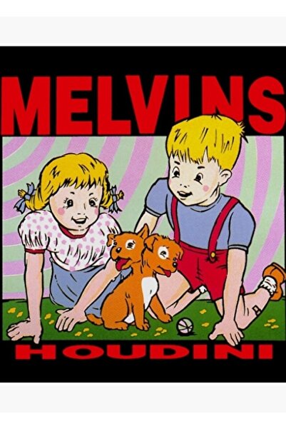 Universal Poster decorativ din lemn Melvins