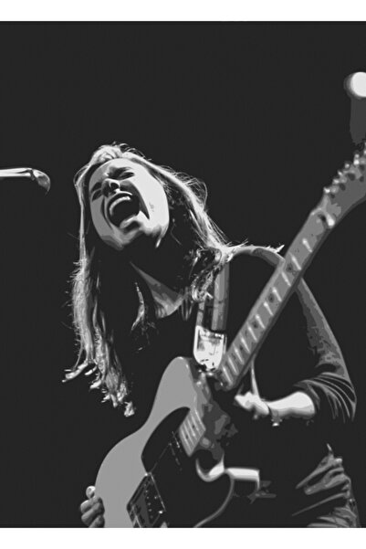 Universal Julien Baker Tablosu de pictură Poster din lemn decorativ