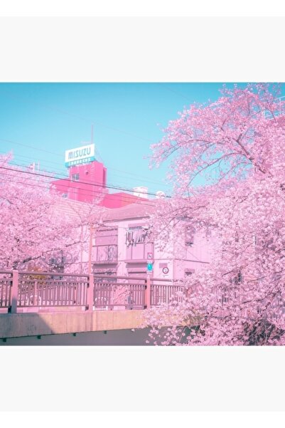 Universal Ανοιξιάτικη ατμόσφαιρα Vaporwave Citypop στο Τόκιο Ροζ αισθητική ατ...