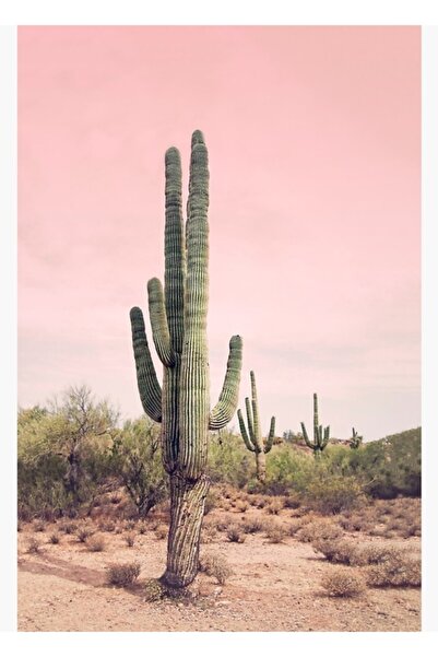 Universal Διακοσμητική ξύλινη αφίσα Blush Sky Painting