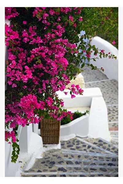 Universal Santorini Tablo Ahşap Poster Dekoratif