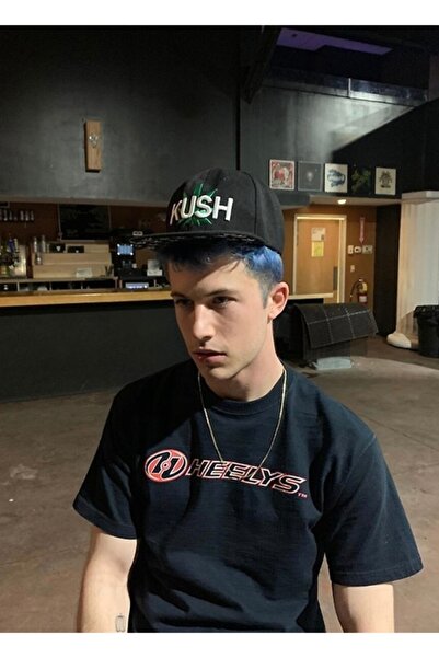 Universal Wallows Dylan Minnette Heelys Tablo Poster din lemn decorativ