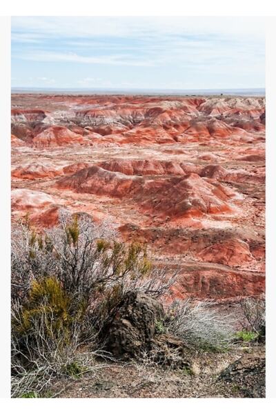 Universal Desert pictat, Arizona, SUA, Poster decorativ din lemn