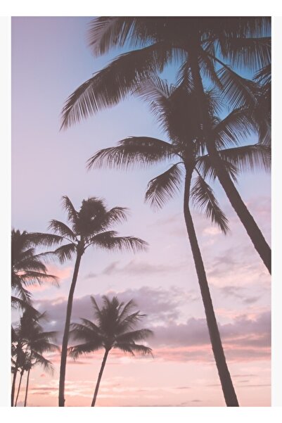 Universal Tablou cu palmieri în stil pastel, poster decorativ din lemn