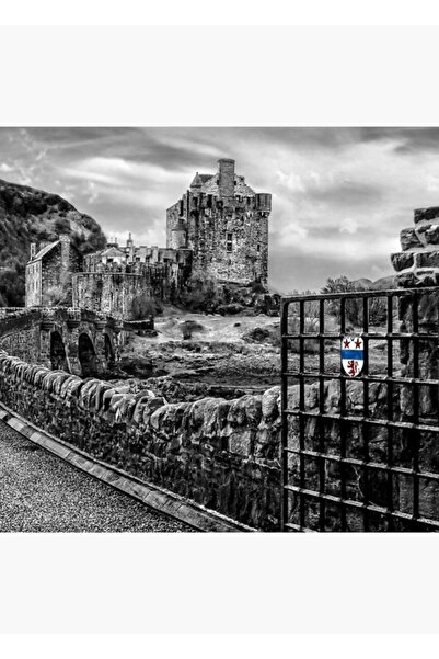 Universal Castelul Eilean Donan. Dornie, Kyle din Lochalsh, Scoția. Tablou de...