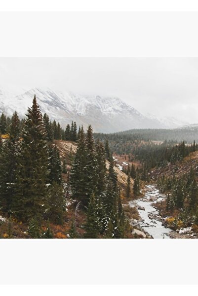 Universal Poster decorativ din lemn Holosen Tablo