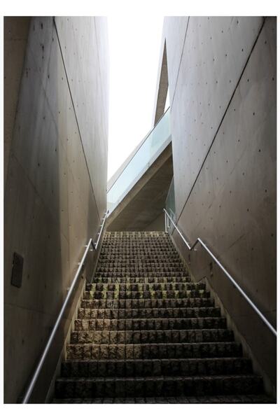 Universal Scara către Raiul Arhitectural Tadao Ando - Tablou de grădină de ar...