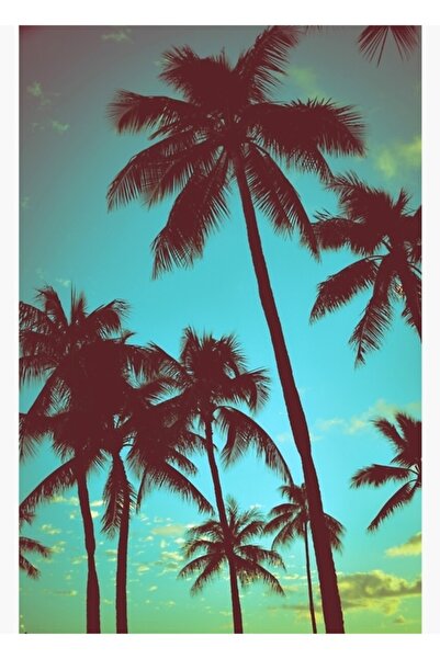 Universal Διακοσμητική Ξύλινη Αφίσα Ζωγραφικής με Τροπικές Φοίνικες