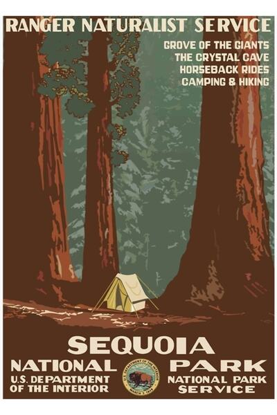 Universal Poster Sequoia - Tablou Parc Național Poster din lemn decorativ