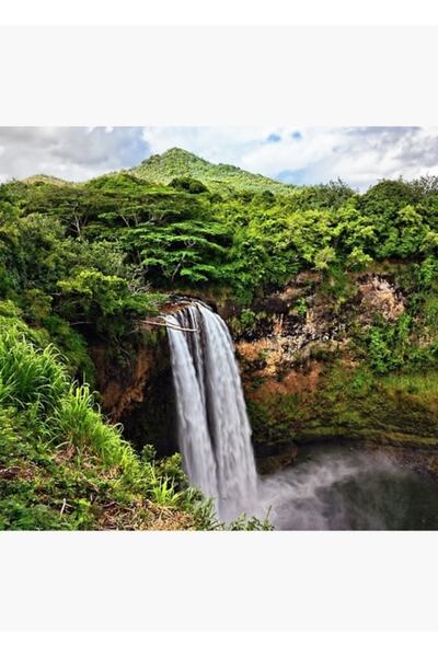 Universal Poster decorativ din lemn cu pictură Tropical Paradise