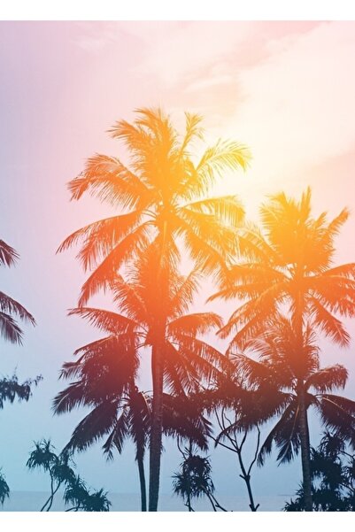 Universal Poster decorativ din lemn cu apus de soare pe plajă, pe coasta.