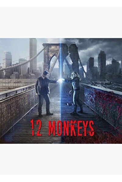 Universal Декоративен дървен плакат с картина на 12 маймуни