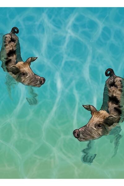 Universal Poster decorativ din lemn Pig Coast Painting