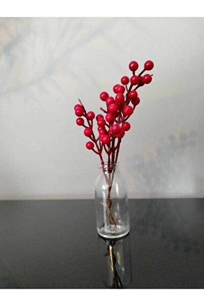 TEKNOSER Dekoratif Vazo 100ml Mini Rustik Cam Vazo