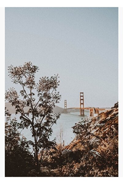 Universal Poster decorativ din lemn San Francisco