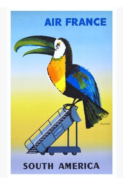 Universal 1956 Air France Ταξιδιωτική αφίσα του Τούκαν της Νότιας Αμερικής Ζω...