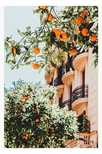 Universal Imprimare cu fructe de pădure de portocale, ediție Barcelona Spania...