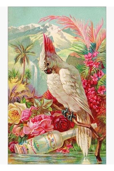 Universal Παπαγάλος και ένα μπουκάλι ρούμι, ξύλινη διακοσμητική αφίσα για τρα...