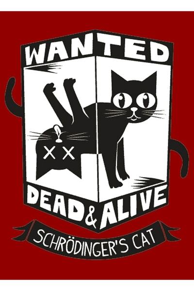 Universal Διακοσμητική Ξύλινη Αφίσα Ζωγραφικής με τη Γάτα του Σρέντινγκερ