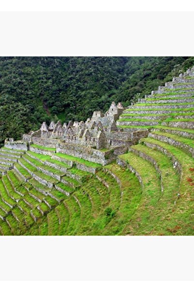 Universal Winay Wayna Ξύλινη Διακοσμητική Αφίσα Ζωγραφικής