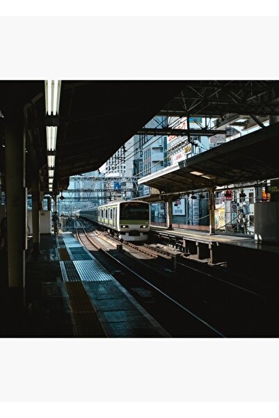 Universal Trenul din Tokyo ajunge la gară Tablou Poster din lemn decorativ