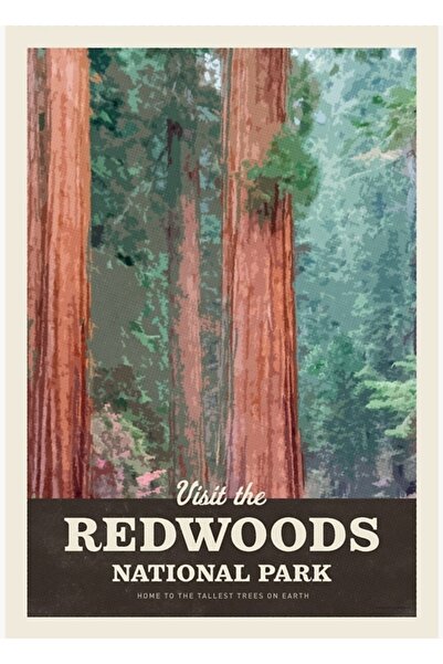 Universal Vizitați Parcul Național Redwoods Tablo Poster decorativ din lemn