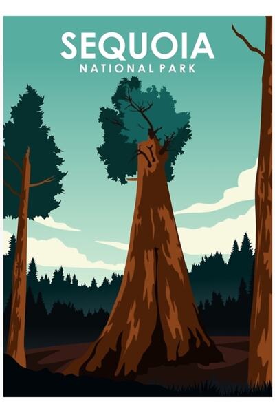 Universal Poster decorativ din lemn pentru Parcul Național Sequoia